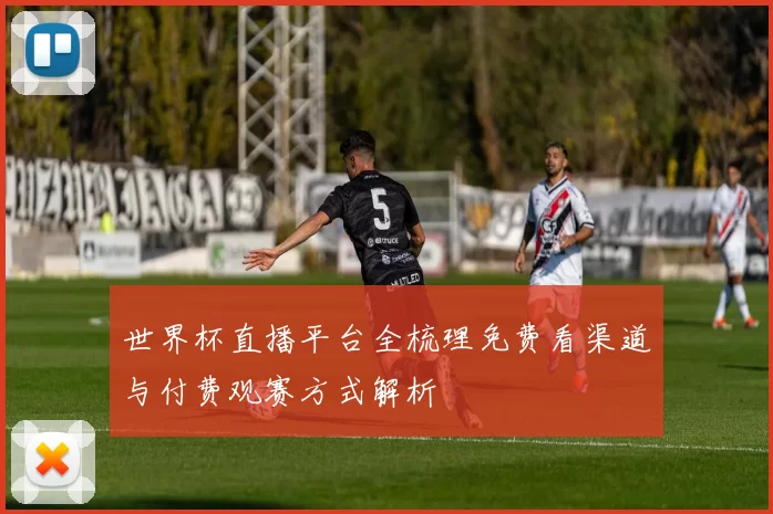 世界杯直播平台全梳理免费看渠道与付费观赛方式解析