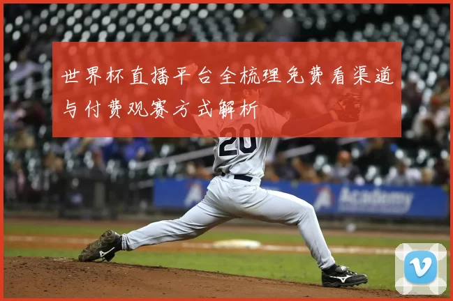 世界杯直播平台全梳理免费看渠道与付费观赛方式解析