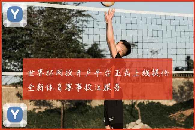世界杯网投开户平台正式上线提供全新体育赛事投注服务