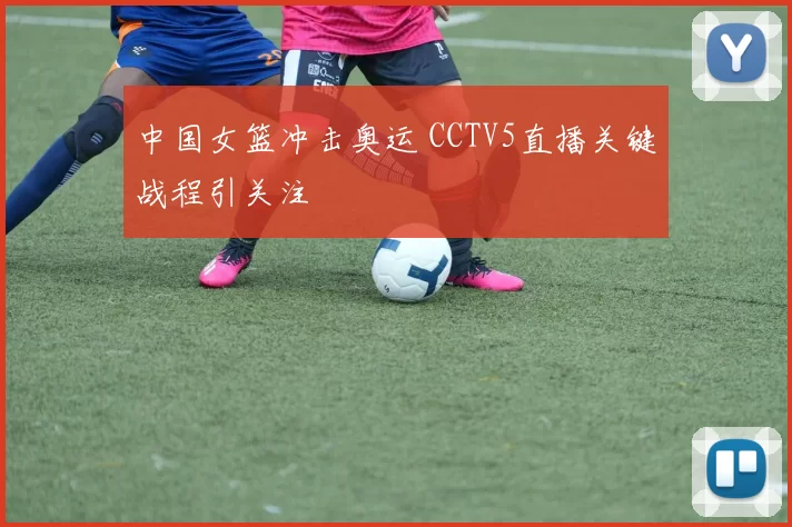 中国女篮冲击奥运 CCTV5直播关键战程引关注