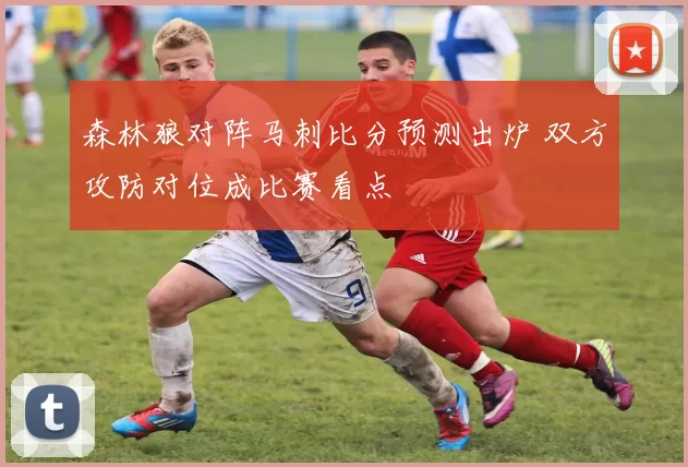 森林狼对阵马刺比分预测出炉 双方攻防对位成比赛看点